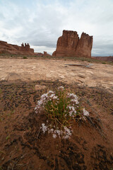 Arches National Park during Monsoon Weather