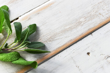 A top view image of a white sage branch on a white washed wooden background. 