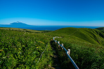 北海道　礼文島
