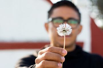 Man holds a dandelion close up