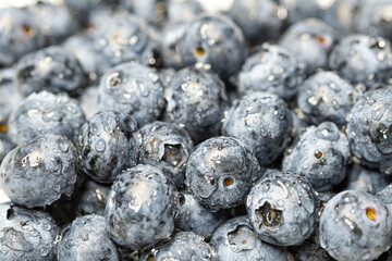 blueberries close up