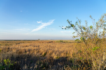 Wooden fence on a field / Sunset on the beach / sunset over the river