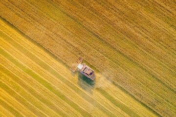Harvesting wheat, the combine-harvester harvests ripe rye in the field. A combine-harvester farmer working in the field. Aerial view