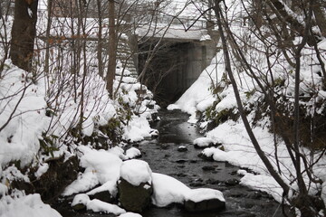 凍結した橋の下