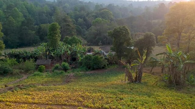 Aerial view of a tipical rural house in Honduras, made with clay and adobe.