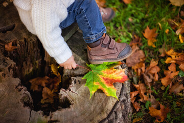 A small boy sits on a wooden stump while walking through the forest on an autumn day. Active family time in nature. Hiking with young children