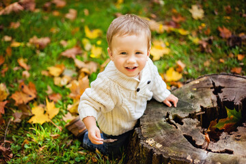 A small boy sits on a wooden stump while walking through the forest on an autumn day. Active family time in nature. Hiking with young children
