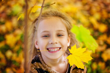 Portrait of a little girl with a striped sweater in an autumn Park with yellow maple leaves.
