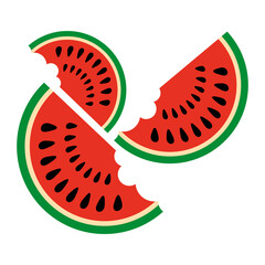 Watermelon Slices vector illustration on a white background