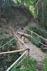 wooden bridge in forest