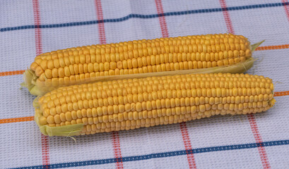 Fresh uncooked corn, Corn conception, how to cook at home
