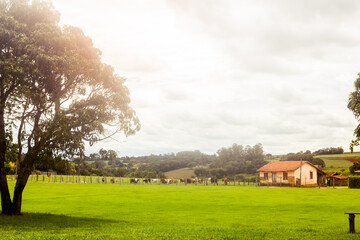 Obraz premium rural landscape with a house and trees