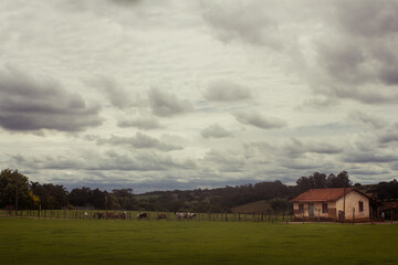 Fototapeta premium rural landscape with house in the background