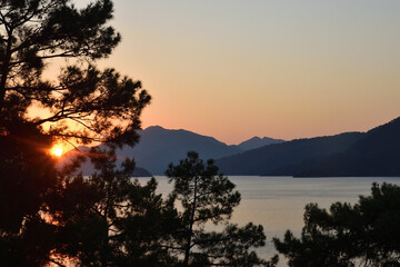 Pine trees in the morning sun rising from behind the mountains on the sea coast