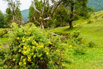 Processed with VSCO with  preset