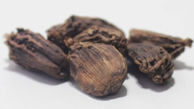 Black cardamom with selected focus