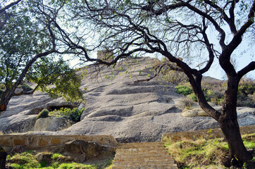 Georgia Republic - Davit Gareji