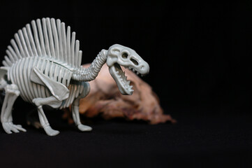 Fototapeta premium Kids toy dinosaur skeleton