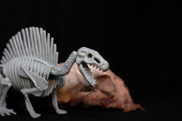 
Kids toy dinosaur skeleton