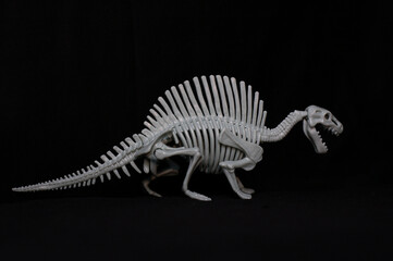 Fototapeta na wymiar Kids toy dinosaur skeleton