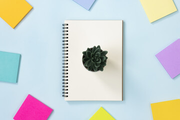 Spiral Notebook or Spring Notebook in Unlined Type and Multi Color Sticky Note and Kalanchoe or Succulents Plant on Blue Pastel Minimalist Background. Spiral Notebook Mockup on Center Frame