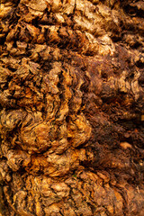 Selective focus shot of corrugated wooden texture