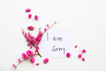 i am sorry message card handwriting with colorful little flowers arrangement flat lay postcard...