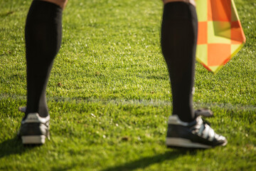 Grass on the soccer field - view between touchline referee's legs.