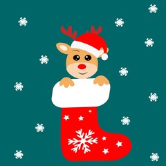 christmas animal in socks, greeting card vector illustration