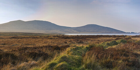 Fototapeta premium An evening glow lights up the bog and moorland of the Deer’s Meadow and Spelga reservoir high in the Mourne Mountains, County Down, Northern Ireland.