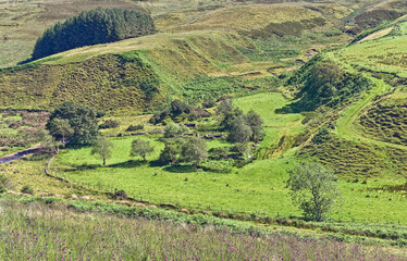 The ruins of an old stone cottage, once a family home, lie abandoned beside a stream in the Sperrin...