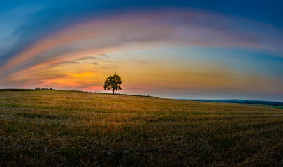 sunset over the field