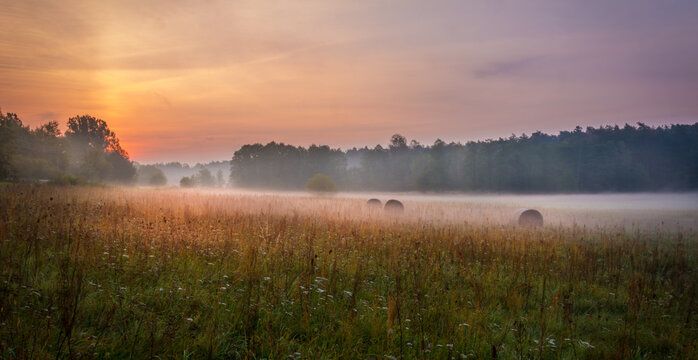 morning mist over the river © RafalDlugosz