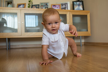 A cute little boy crawling around the house
Happy baby crawling on the floor towards the camera.
