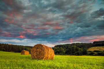 Pora Sianokosów Na Polskich Polach  © Wojciech Lisiński