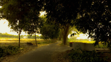 Path