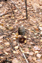 Old rusty tin can and glass jar on the ground in a pine forest. The concept of environmental pollution.