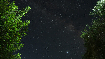 Stars and light up trees - Milky Way - Sky full of stars