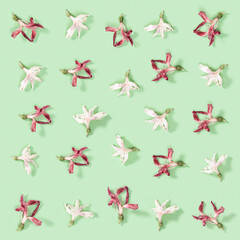 Pattern drom natural dry flower and petals on soft green background. Floral design