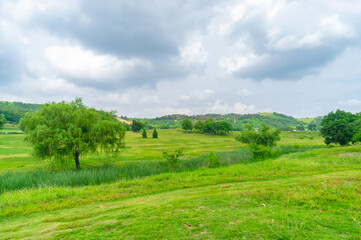 Obraz premium Early Summer scenery of Mulan grassland Scenic spot in Wuhan, Hubei Province, China