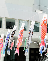 Koinobori