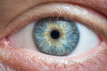 Human eye detail