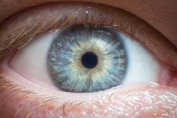Human eye detail