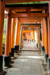 Fushimi Inari-taisha