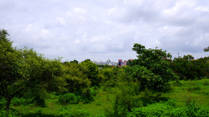 Fototapeta na wymiar long view of nature with buildings in gulbarga university campus