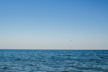 sea sandy beach against blue sky