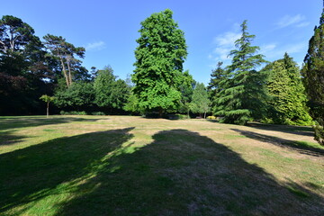 Gardens at Shanklin on the Isle of Wight