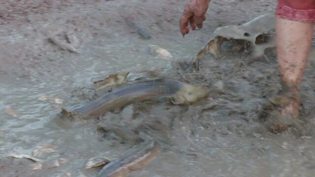 Asian woman holding fish in dry water