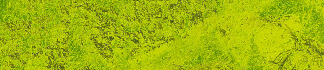 abstract lime and green colors background for design