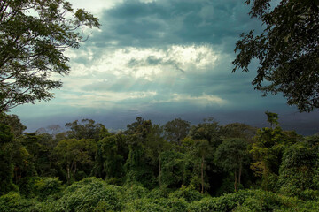 White mist floating on the mountains after the rain In the presence of nature surrounded by mountains and forests Will have white clouds or fog rising after the rain.